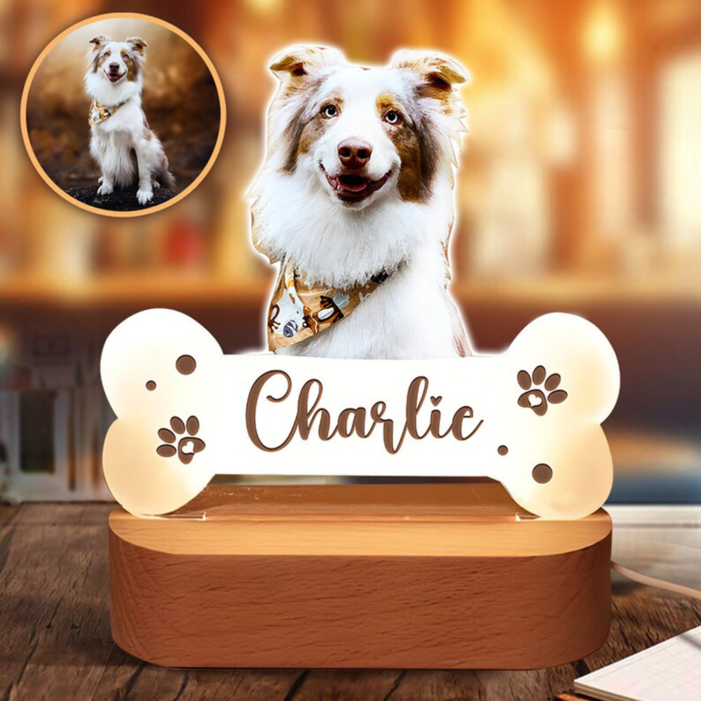 Lighting Decor Photos - Acrylic Pet Growth Memory Night Light
