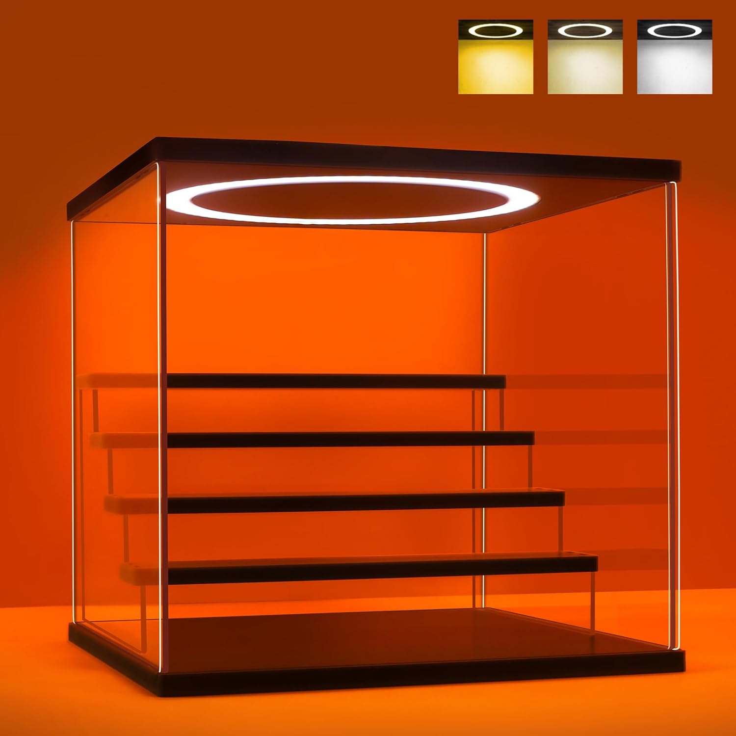 Lighting & Home Decor Studio - Acrylic Display Case with Adjustable LED