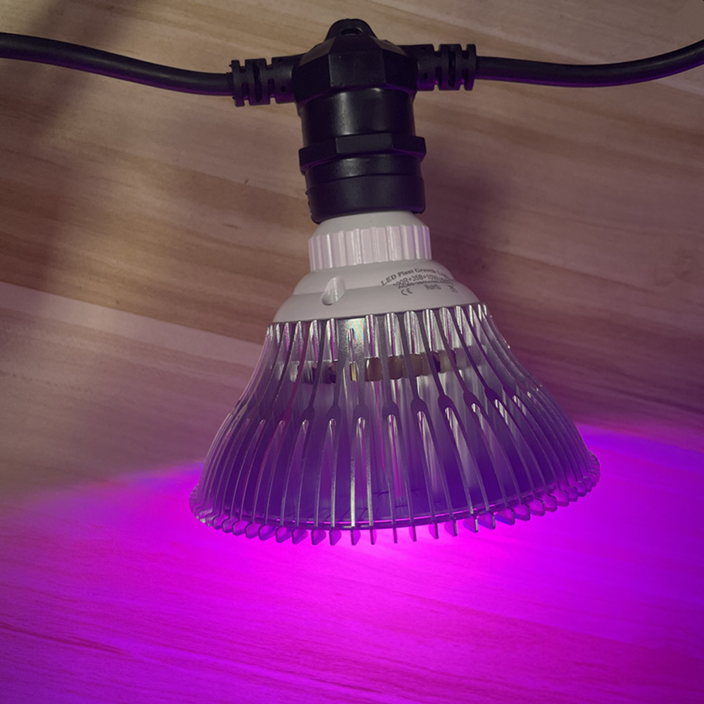 10M Cable LED String Commercia - String Light Outdoor avis et prix