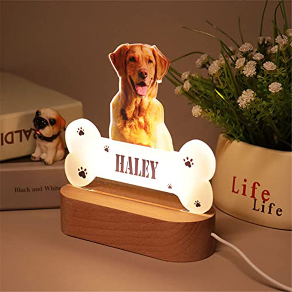 Acrylic Pet Growth Memory Nigh - Lighting Decor Photos avis et prix