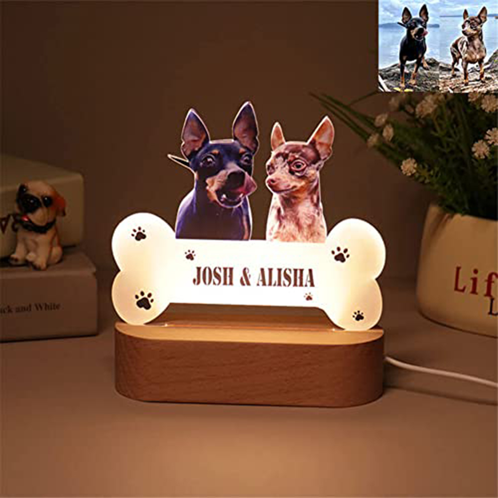 Acrylic Pet Growth Memory Nigh - Lighting Decor Photos avis et prix