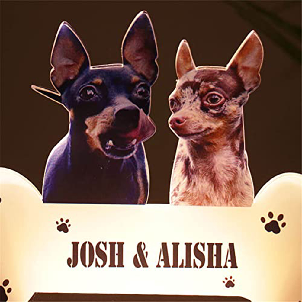 Acrylic Pet Growth Memory Nigh - Lighting Decor Photos avis et prix