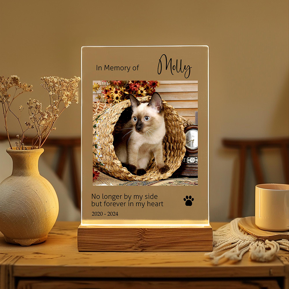 Custom Pet Photo LED Night Lig - Lighting Decor Photos avis et prix