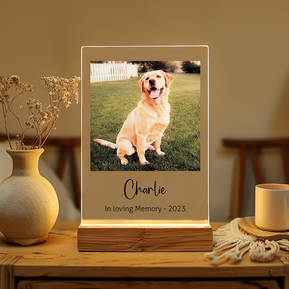 Custom Pet Photo LED Night Lig - Lighting Decor Photos avis et prix