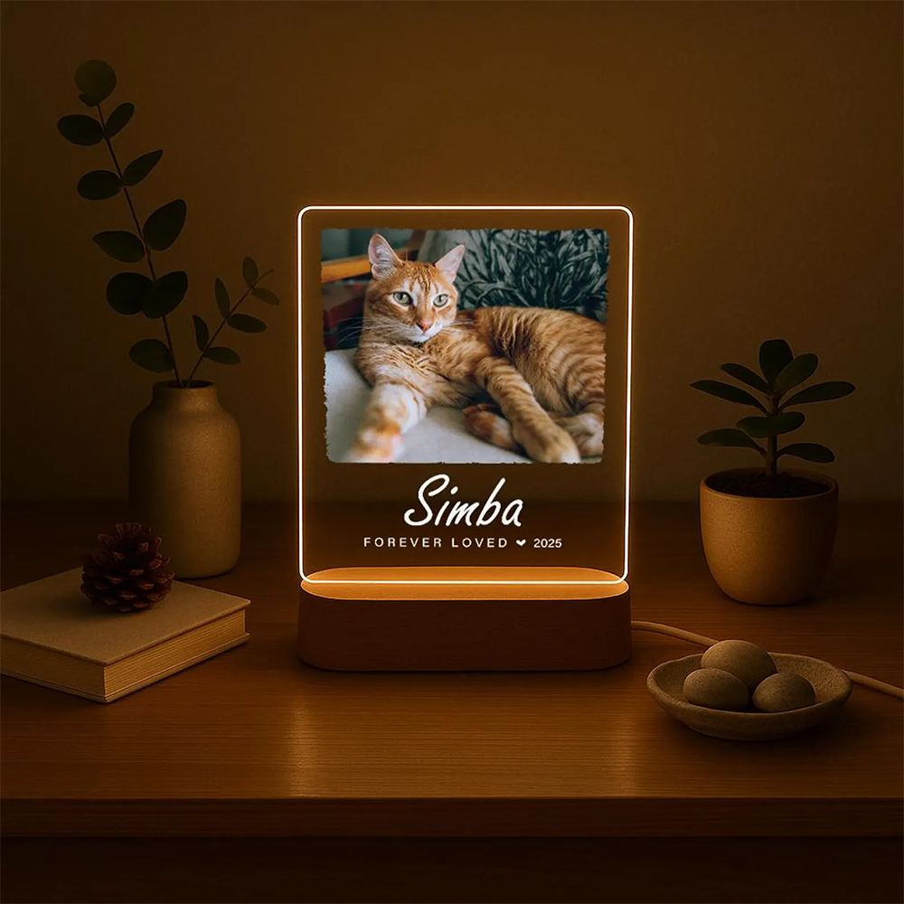 Custom Pet Photo LED Night Lig - Lighting Decor Photos avis et prix
