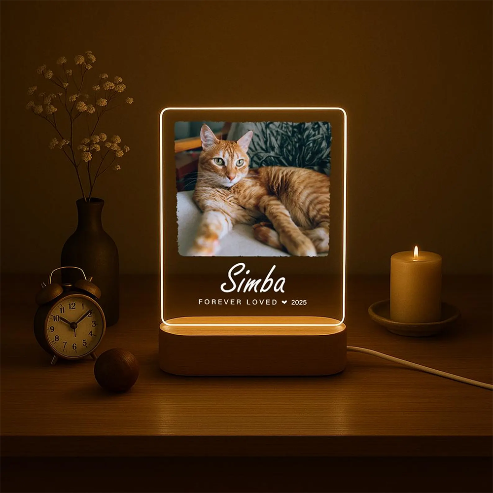 Custom Pet Photo LED Night Lig - Lighting Decor Photos avis et prix